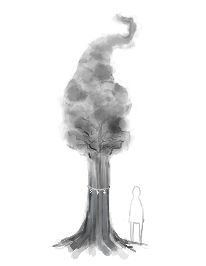 狐紅実乃神の御神体